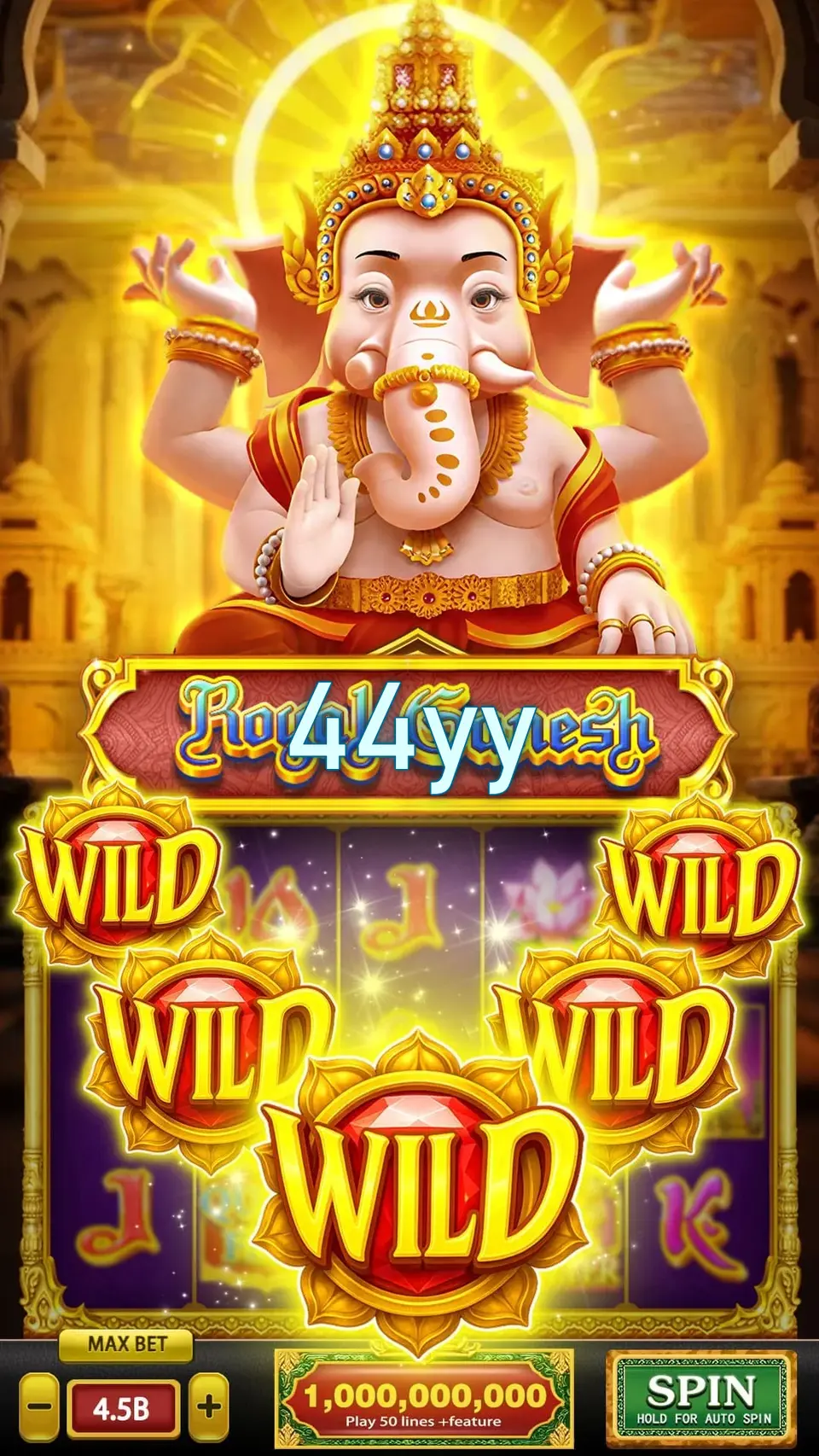 44yy Login