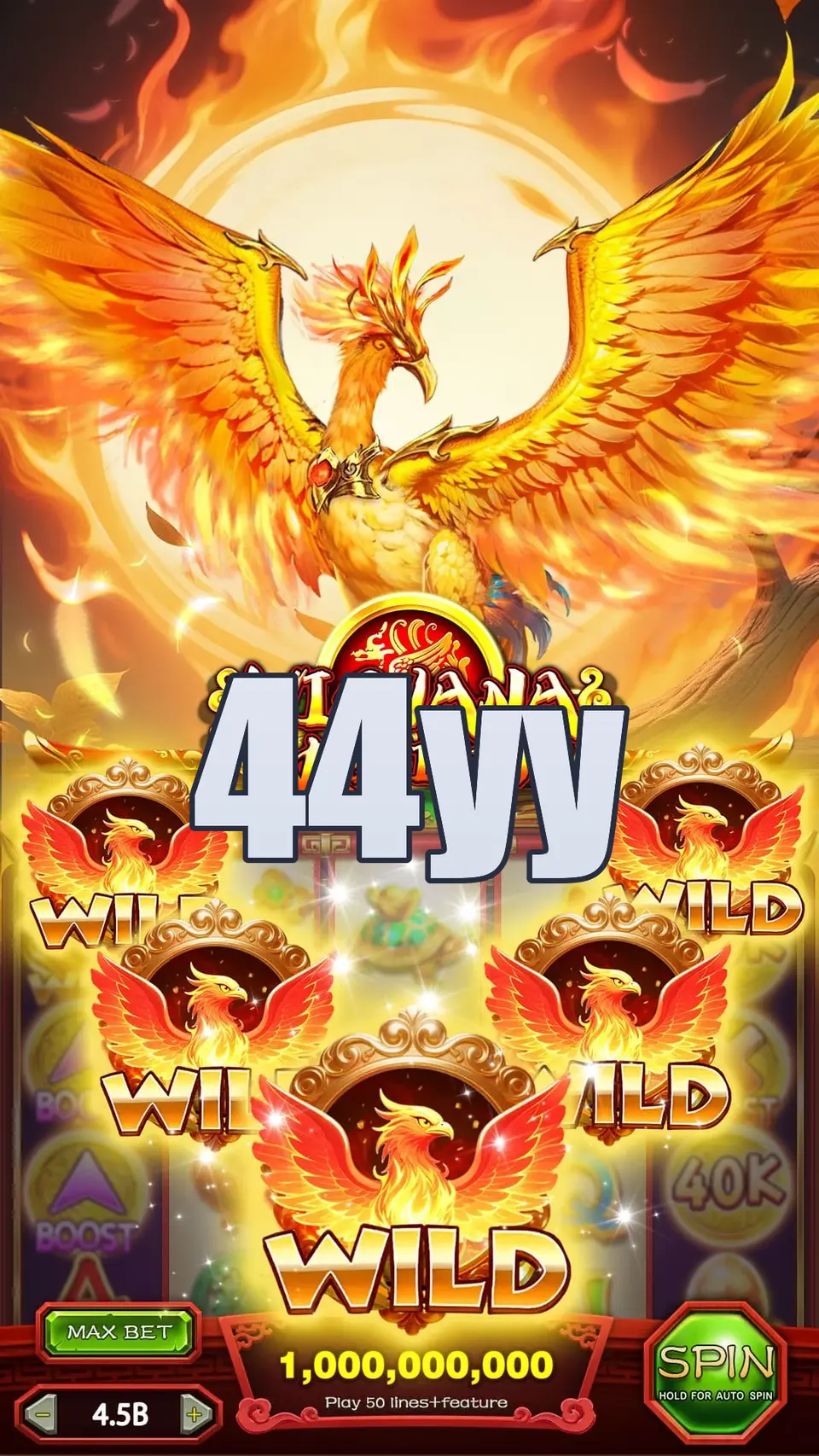 44yy Preview - Oficial Baixar